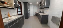 Balmoral Gate (D10), Condominium #482935391